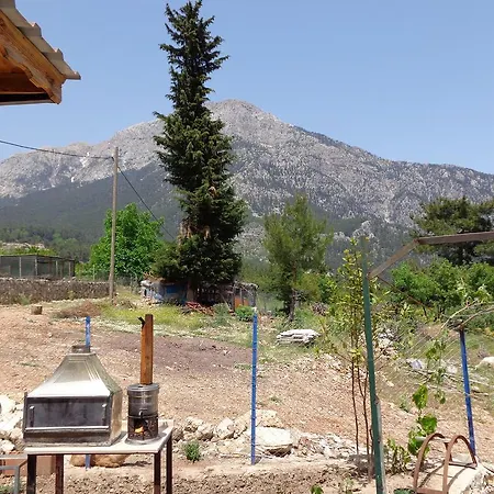 Alloggio in famiglia Beycik Pension