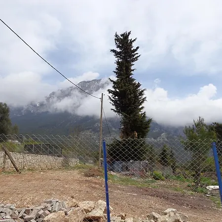 Beycik Pension *