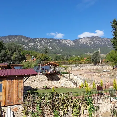 Beycik Pension Alloggio in famiglia *