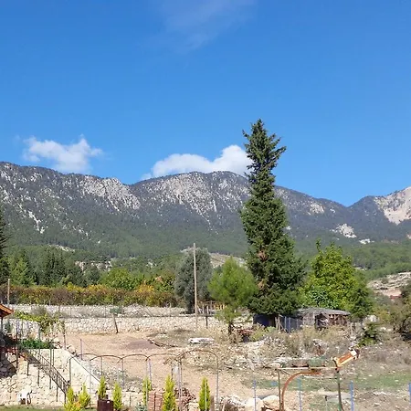 Beycik Pension Alloggio in famiglia