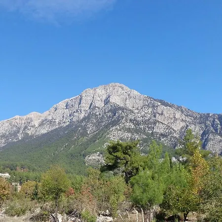 Beycik Pension Alloggio in famiglia *